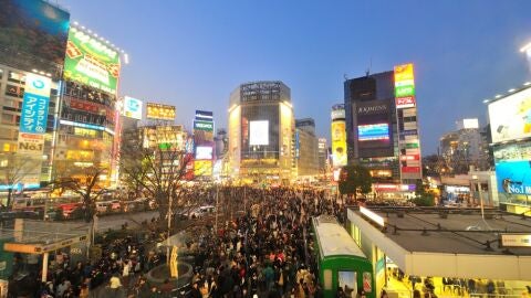 Noche Shibuya