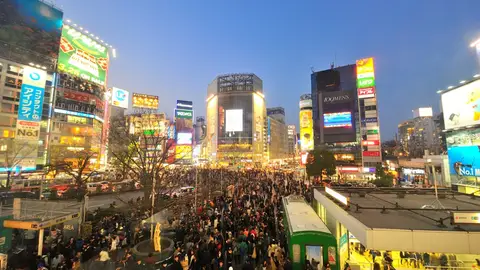 Noche Shibuya Noche Shibuya