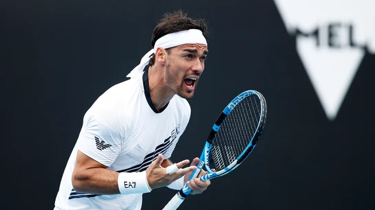 Fabio Fognini se desespera durante el partido contra Opelka Fabio Fognini se desespera durante el partido contra Opelka