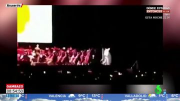 La espectacular caída del cantante de 'Dragon Ball' del escenario del Wizink Center
