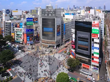 Shibuya Shibuya