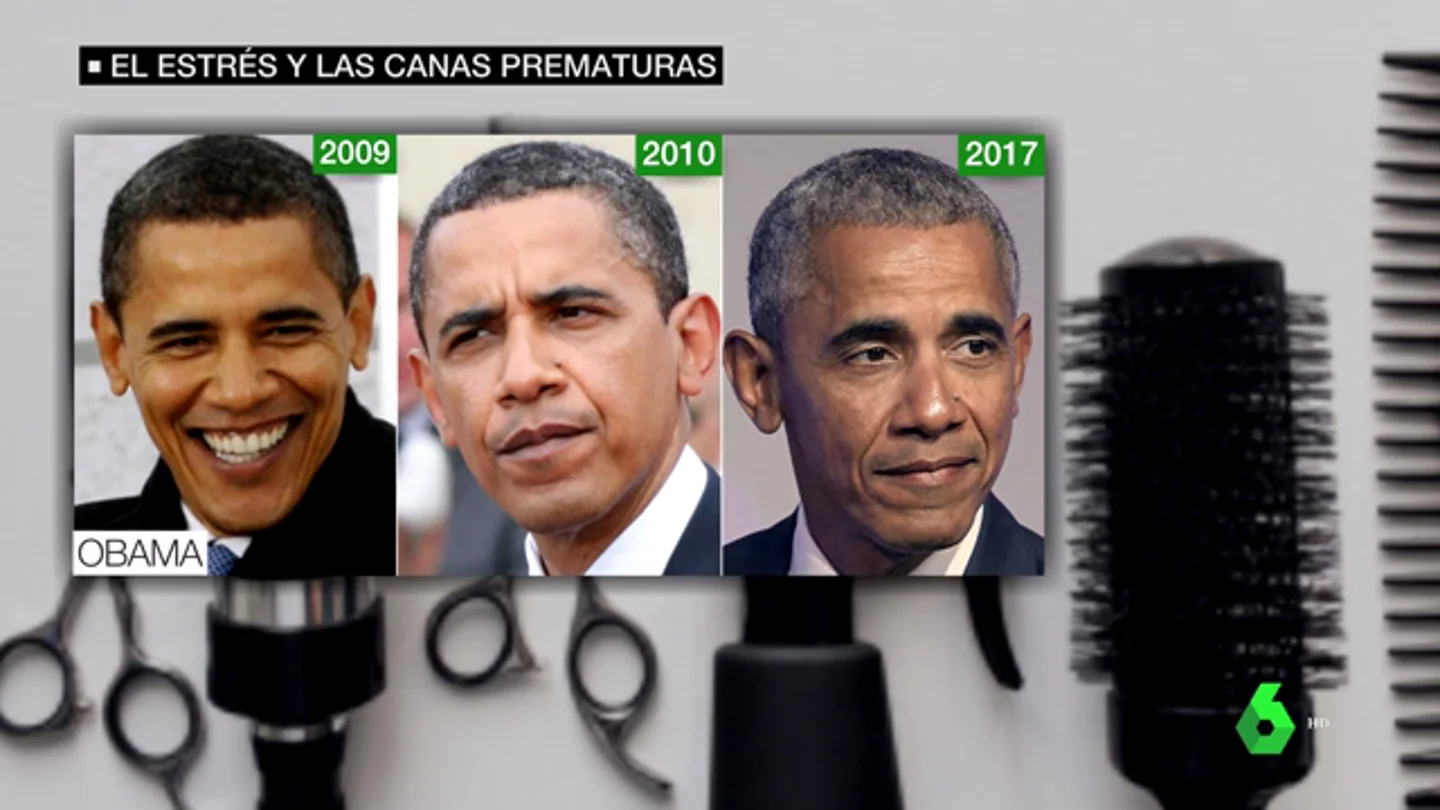 canas canas