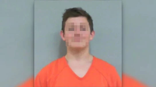 Menor que ha asesinado a su madre y a sus hermanos gemelos Menor que ha asesinado a su madre y a sus hermanos gemelos