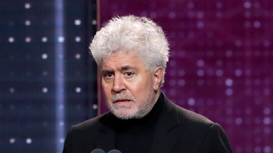 Pedro Almod&oacute;var, Goya al mejor gui&oacute;n original