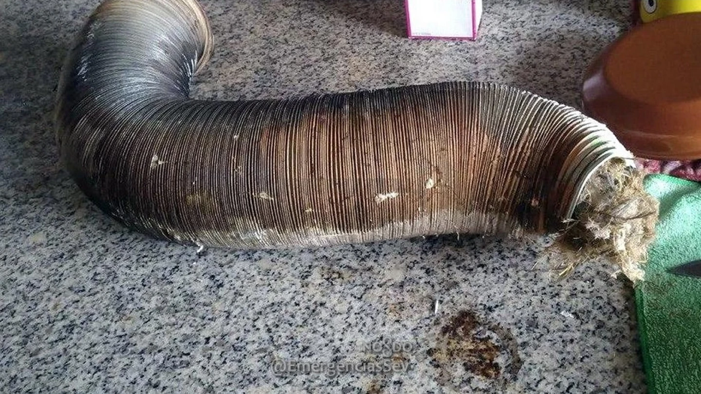 Imagen del tubo de calentador atascado con nidos de pájaros Imagen del tubo de calentador atascado con nidos de pájaros