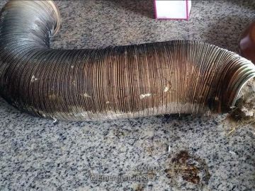 Imagen del tubo de calentador atascado con nidos de pájaros Imagen del tubo de calentador atascado con nidos de pájaros