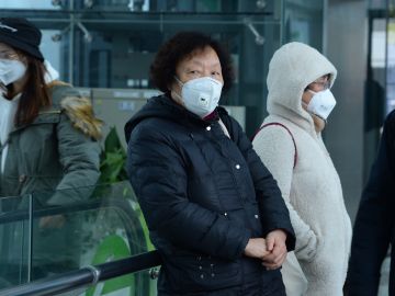 La OMS pide estar alerta ante posibles seudoterapias que prometen curar el coronavirus La OMS pide estar alerta ante posibles seudoterapias que prometen curar el coronavirus