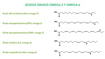 Ácidos grasos Ácidos grasos