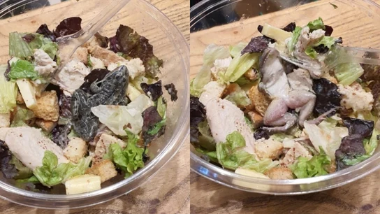 Imagen de la rana muerta encontrada en la ensalada de un restaurante. Imagen de la rana muerta encontrada en la ensalada de un restaurante.