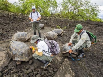 Imagen de los miembros de la expedición científica en el Parque Nacional Galápagos. Imagen de los miembros de la expedición científica en el Parque Nacional Galápagos.