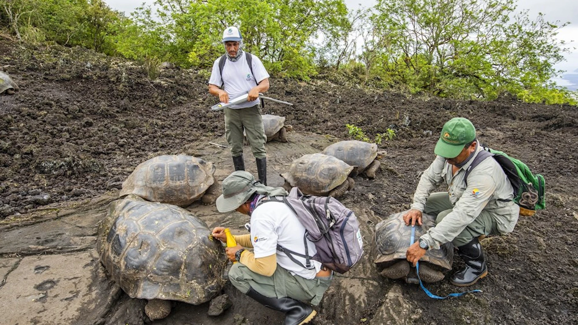 Imagen de los miembros de la expedición científica en el Parque Nacional Galápagos.