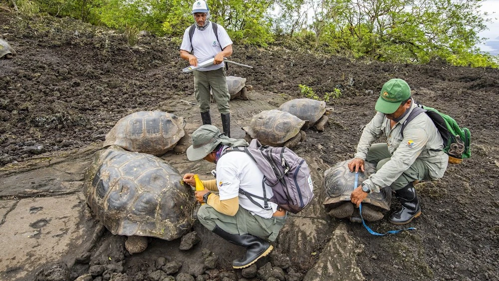Imagen de los miembros de la expedición científica en el Parque Nacional Galápagos. Imagen de los miembros de la expedición científica en el Parque Nacional Galápagos.