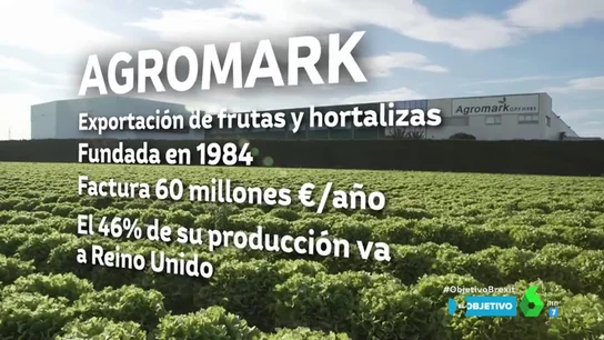 "Un Brexit duro sería una tragedia": cómo subsistir cuando el 46% de tu producción sale hacia Reino Unido "Un Brexit duro sería una tragedia": cómo subsistir cuando el 46% de tu producción sale hacia Reino Unido