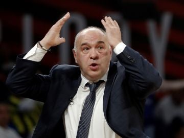 Pablo Laso, en actitud de asombro. Pablo Laso, en actitud de asombro.