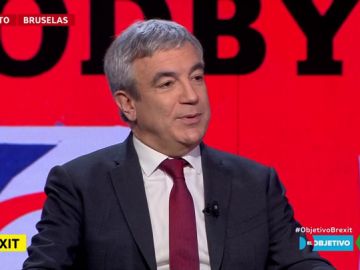 Luis Garicano: "Johnson va a tratar de hacer como que la Unión Europea tiene la culpa de cualquier cosa mala que le suceda" Luis Garicano: "Johnson va a tratar de hacer como que la Unión Europea tiene la culpa de cualquier cosa mala que le suceda"