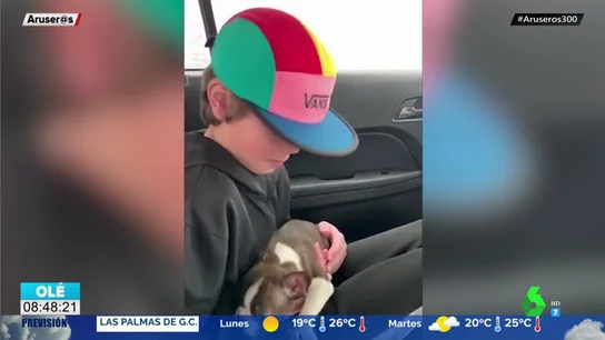 La tierna reacción de un niño al recibir el cachorro que le había comprado su padre antes de morir La tierna reacción de un niño al recibir el cachorro que le había comprado su padre antes de morir