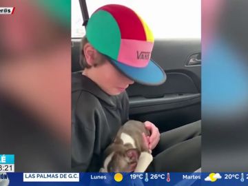 La tierna reacción de un niño al recibir el cachorro que le había comprado su padre antes de morir La tierna reacción de un niño al recibir el cachorro que le había comprado su padre antes de morir