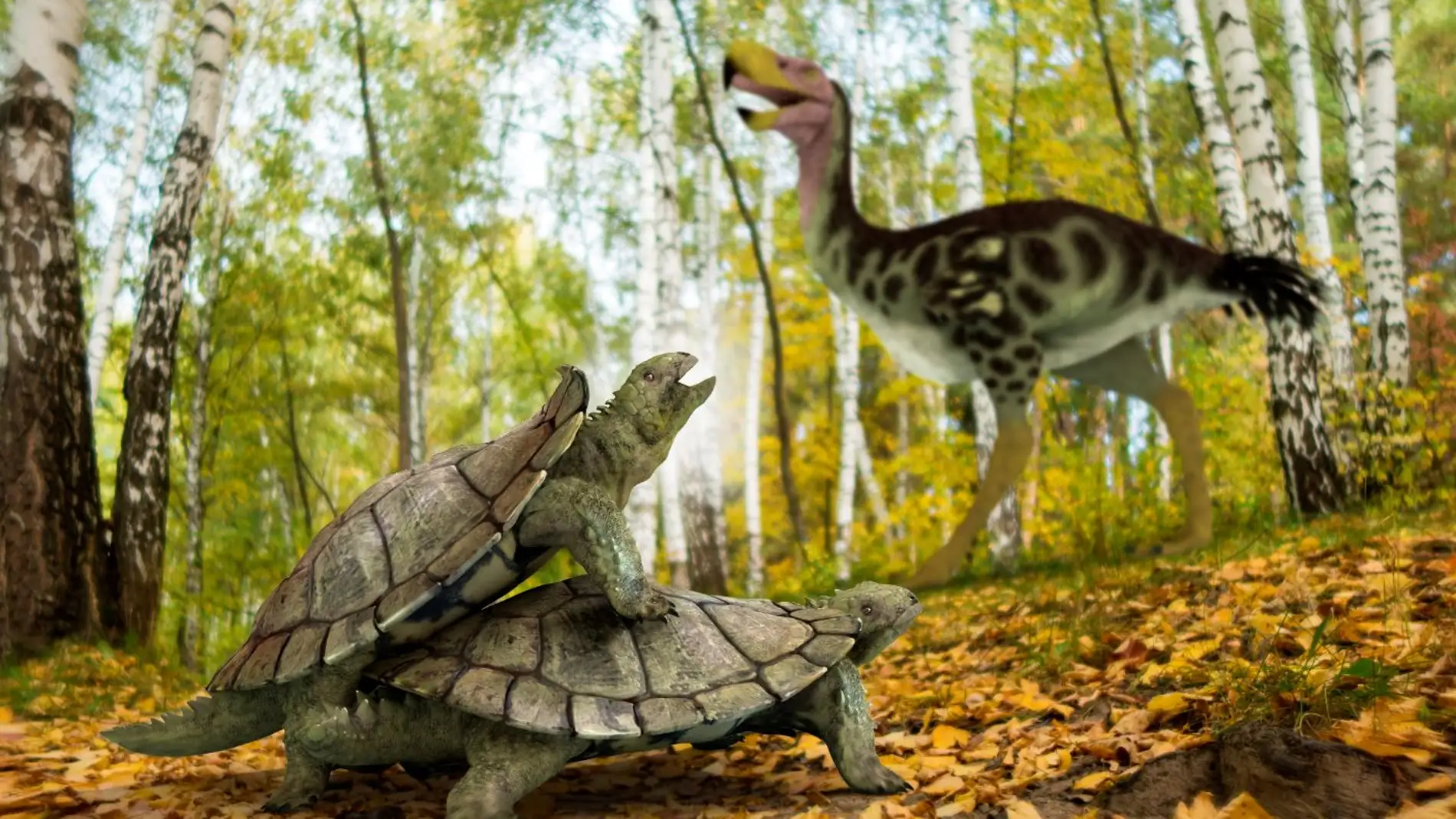 Una unica tortuga primitiva resistio a la extincion masiva en el hemisferio norte