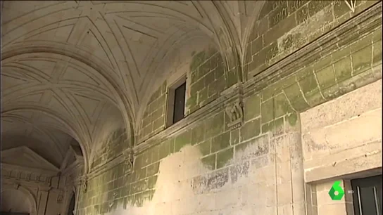 El musgo, aliado de los monumentos: científicos españoles descubren que no es perjudicial para la piedra El musgo, aliado de los monumentos: científicos españoles descubren que no es perjudicial para la piedra