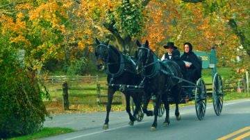 Amish