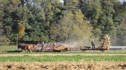 Amish Amish