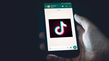 TikTok en WhatsApp