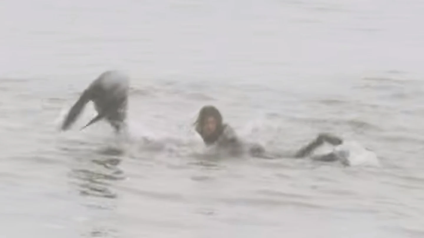 Craig Anderson sorprendido por una foca mientras surfeaba Craig Anderson sorprendido por una foca mientras surfeaba