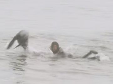 Craig Anderson sorprendido por una foca mientras surfeaba Craig Anderson sorprendido por una foca mientras surfeaba