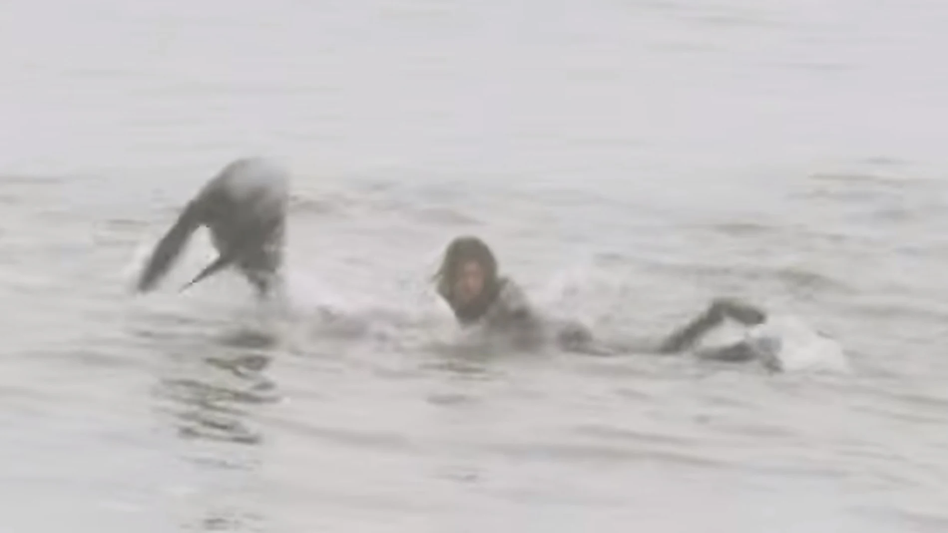 Craig Anderson sorprendido por una foca mientras surfeaba