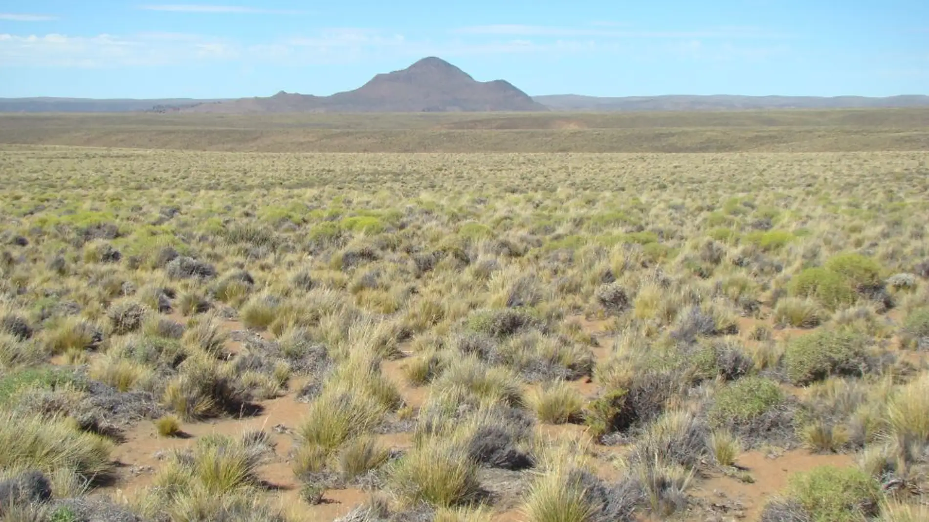 La crisis climatica provocara cambios drasticos en los ecosistemas aridos