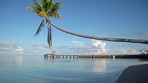 Sulawesi Sulawesi