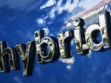 Hibridos Hibridos