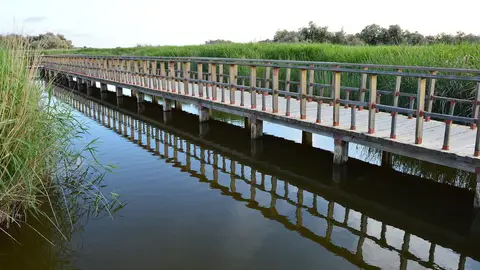 Parque Nacional de Las Tablas de Daimiel Parque Nacional de Las Tablas de Daimiel