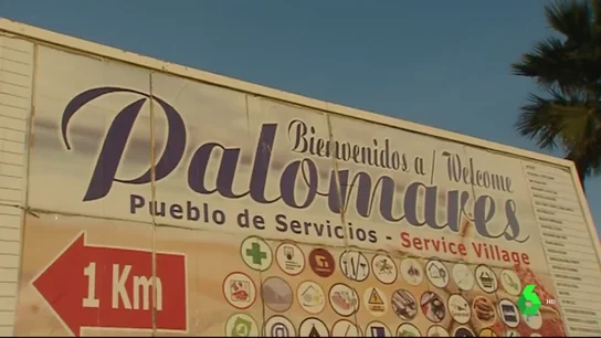 PALOMARES PALOMARES