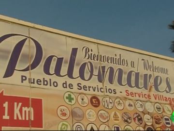PALOMARES PALOMARES
