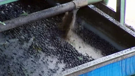 Así están afectando los aranceles de Trump a la agricultura española: "Cada vez hay menos trabajo y no va a quedar nada" Así están afectando los aranceles de Trump a la agricultura española: "Cada vez hay menos trabajo y no va a quedar nada"