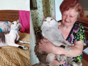 Imagen del gato junto a su dueña. Imagen del gato junto a su dueña.