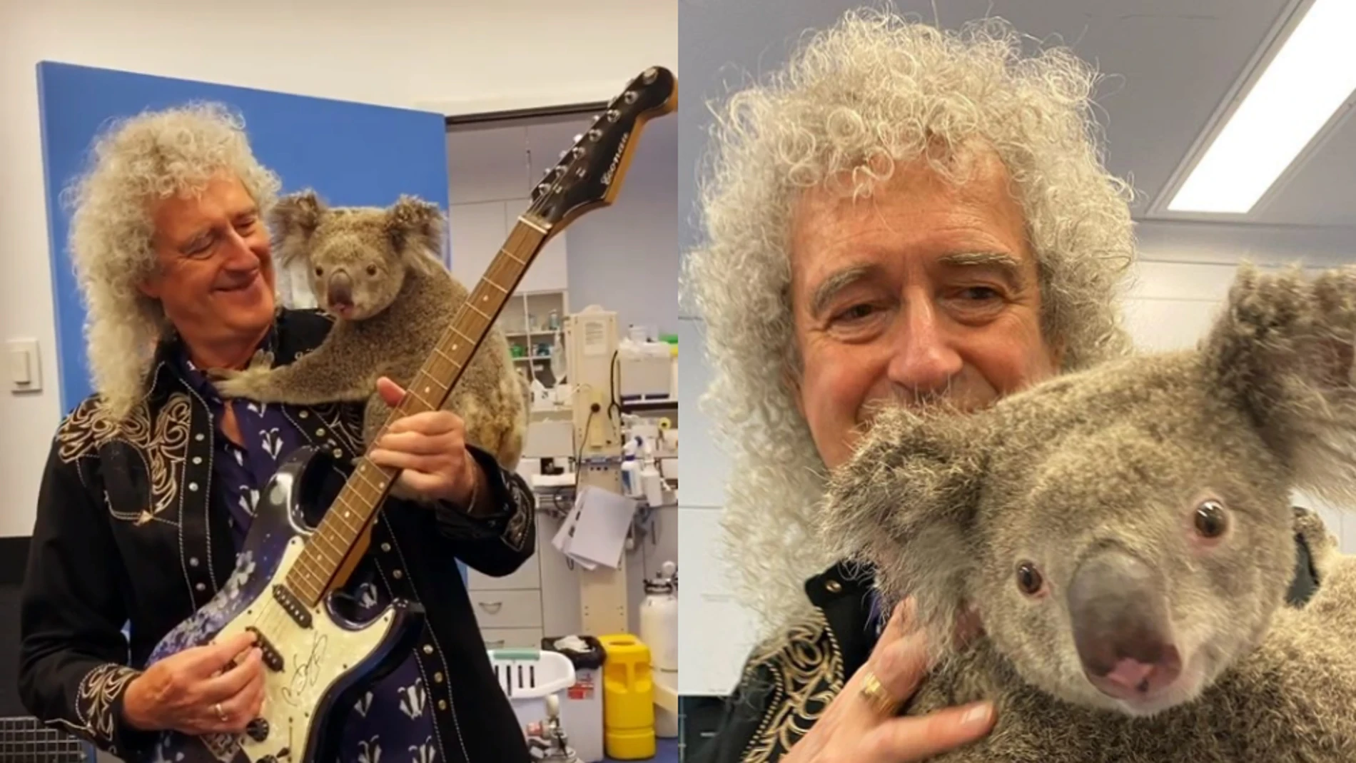 Imagen de Brain May, guitarrista de The Queen, junto al koala. 
