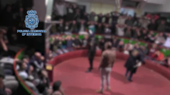 Así desmantela la Policía una pelea ilegal de gallos con droga y casi 200 participantes en Cádiz Así desmantela la Policía una pelea ilegal de gallos con droga y casi 200 participantes en Cádiz