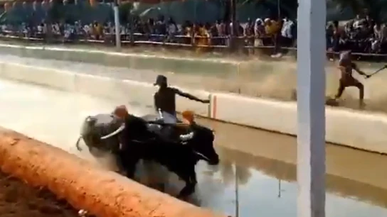 Srinivasa Gowda Srinivasa Gowda