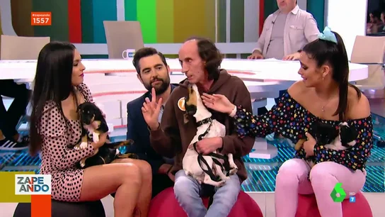 Zowy y sus cachorros en Zapeando Zowy y sus cachorros en Zapeando