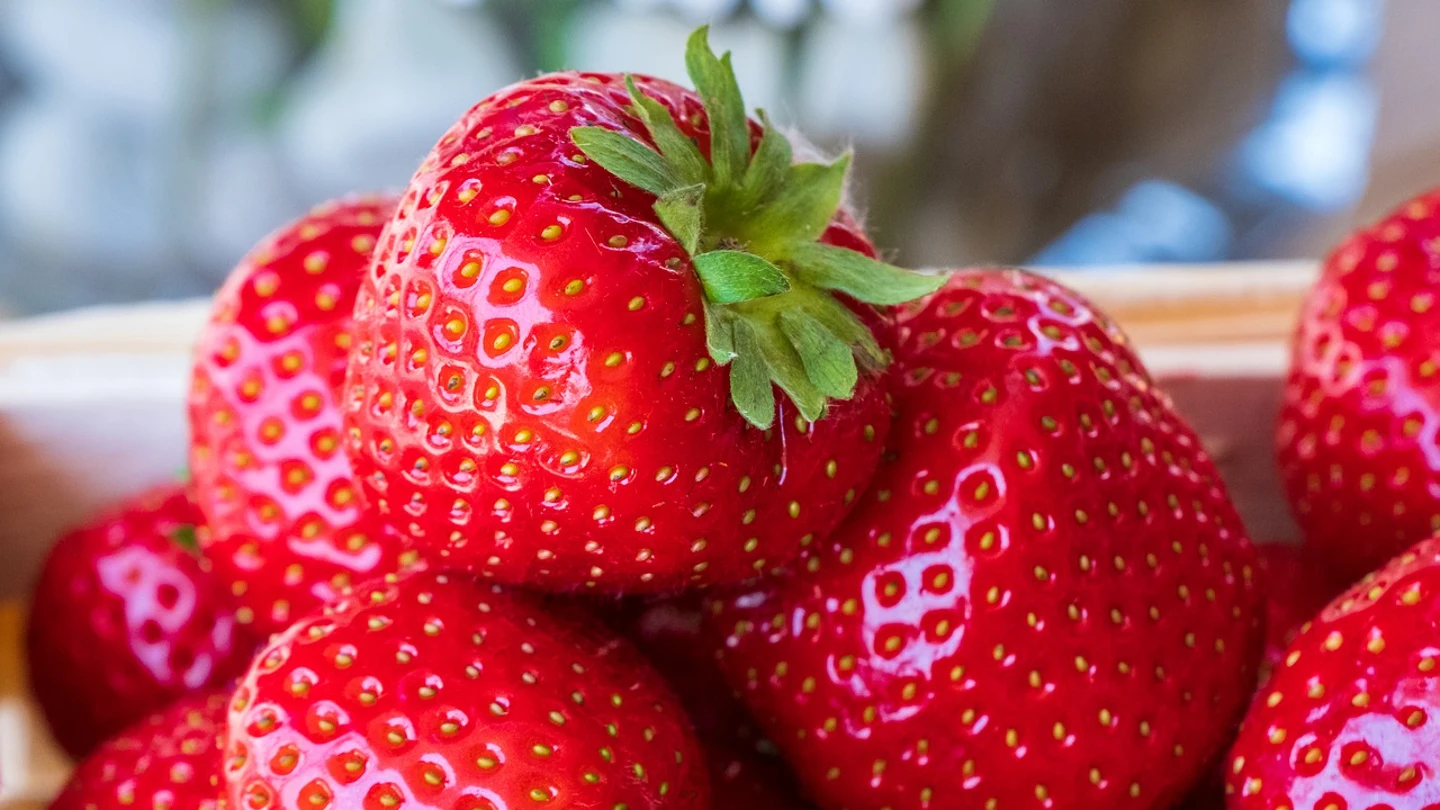 Fresas Fresas