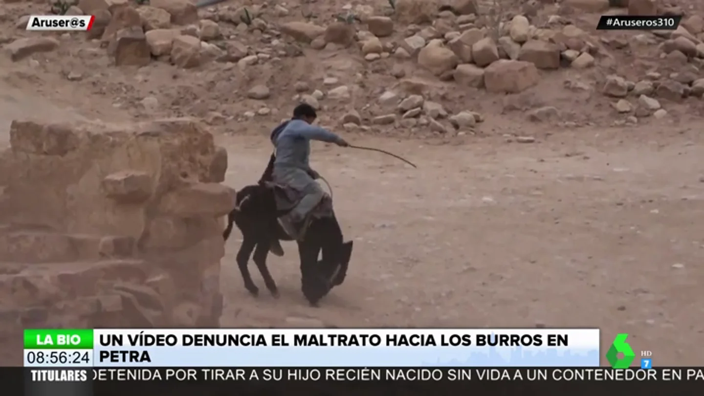 Un impactante vídeo denuncia el maltrato que sufren los burros de carga de turistas en Jordania Un impactante vídeo denuncia el maltrato que sufren los burros de carga de turistas en Jordania
