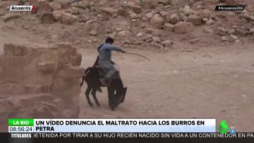 Un impactante vídeo denuncia el maltrato que sufren los burros de carga de turistas en Jordania