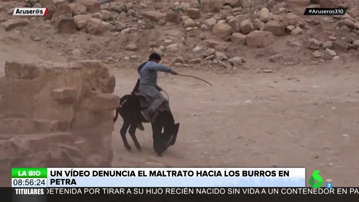 Un impactante vídeo denuncia el maltrato que sufren los burros de carga de turistas en Jordania