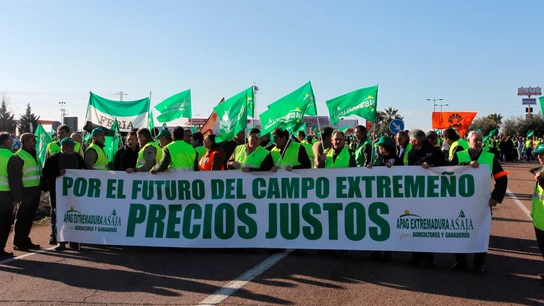 Decenas de agricultores extremeños cortan este martes el tráfico en la autovía A-66 Decenas de agricultores extremeños cortan este martes el tráfico en la autovía A-66