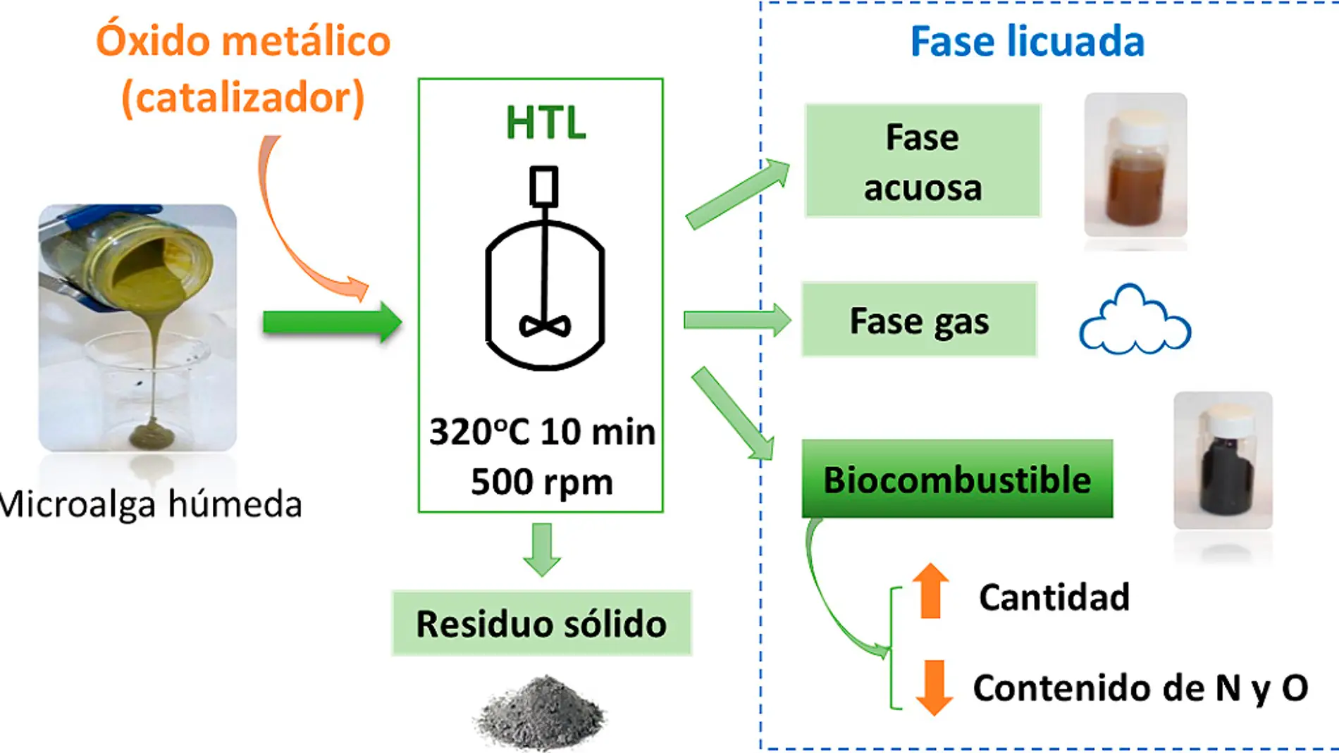 Nuevo biocombustible con microalgas