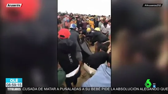 Un grupo de pescadores lucha contra la fuerte oleada para devolver una ballena de cuatro metros al mar Un grupo de pescadores lucha contra la fuerte oleada para devolver una ballena de cuatro metros al mar