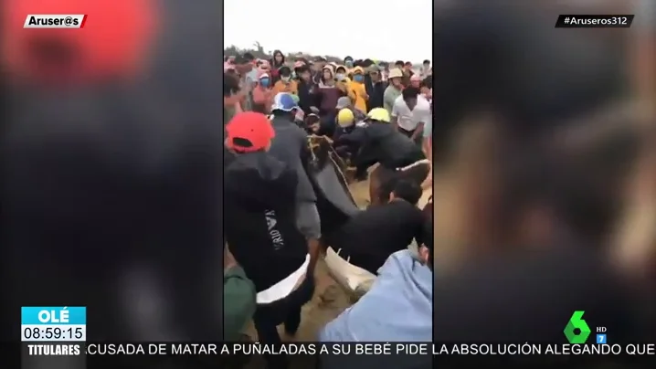 Un grupo de pescadores lucha contra la fuerte oleada para devolver una ballena de cuatro metros al mar