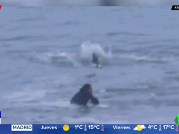 Las escalofriantes imágenes de un surfista esperando una ola sin darse cuenta de que hay un tiburón martillo justo a su lado Las escalofriantes imágenes de un surfista esperando una ola sin darse cuenta de que hay un tiburón martillo justo a su lado